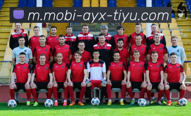 爱游戏发展历程