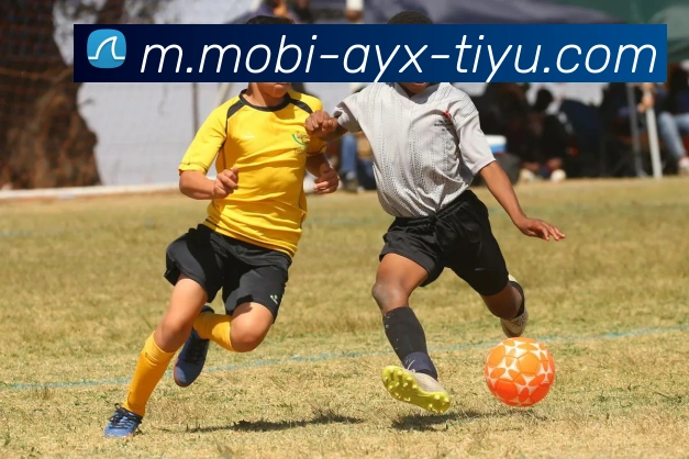 特巴斯谈维尼修斯与西蒙尼冲突称其为小插曲支持西超杯海外举办